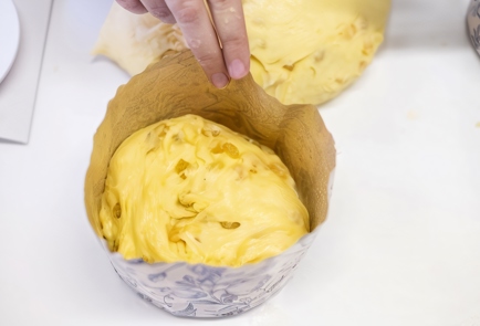 Step 7 Image