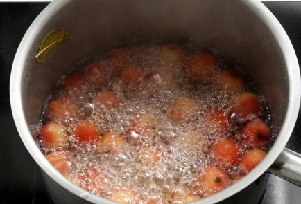 Step 8 Image