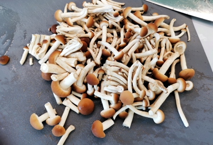 Step 16 Image