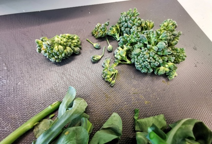 Step 8 Image
