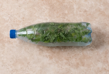 Step 7 Image