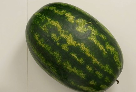 Step 1 Image