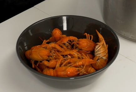 Step 9 Image