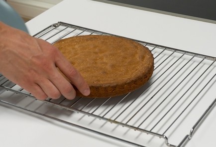 Step 9 Image