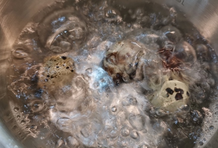 Step 10 Image