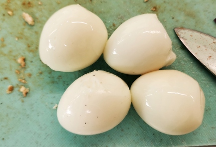 Step 31 Image
