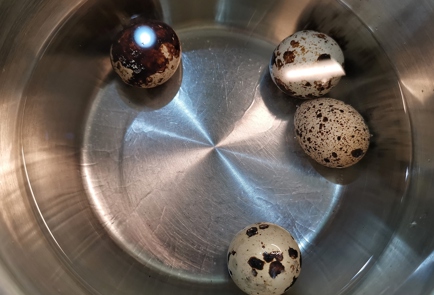 Step 9 Image
