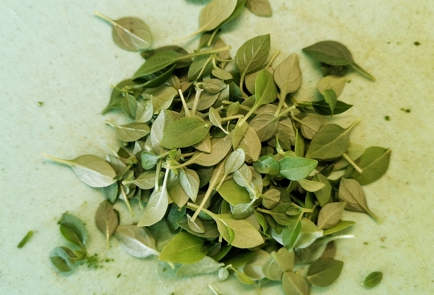 Step 7 Image