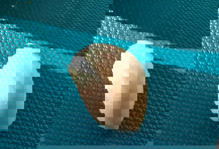 Step 1 Image