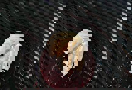 Step 3 Image