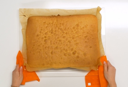 Step 10 Image