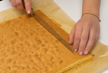 Step 11 Image