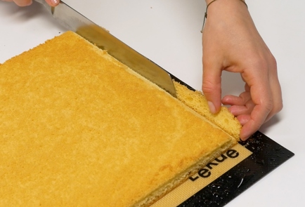 Step 12 Image
