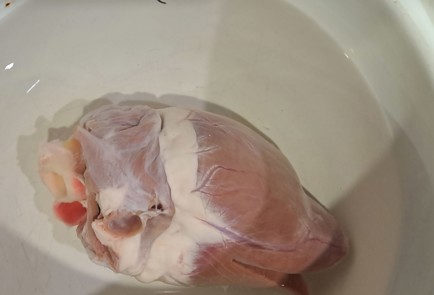 Step 2 Image