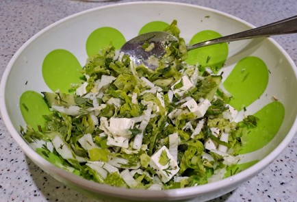 Step 10 Image