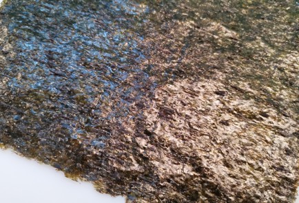 Step 3 Image