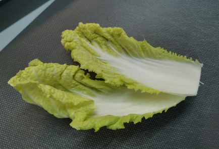 Step 1 Image